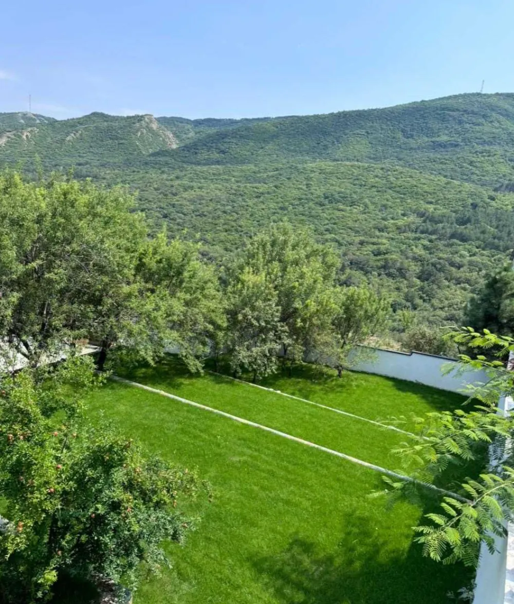 1. საპროექტო სამუშაოები